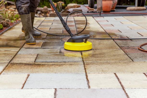 Best Animal Enclosure Cleaning  in Mims, FL