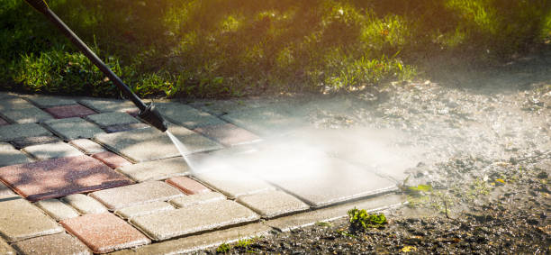 Best Building Exterior Washing  in Mims, FL
