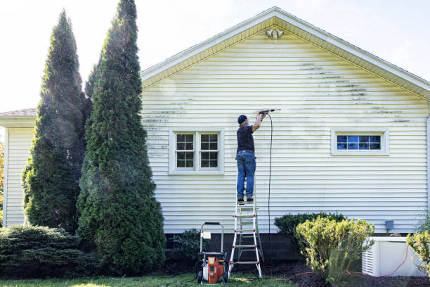 Trusted Mims, FL Pressure Washing Experts