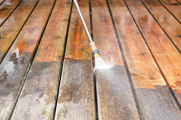 Best Sidewalk and Walkway Cleaning  in Mims, FL